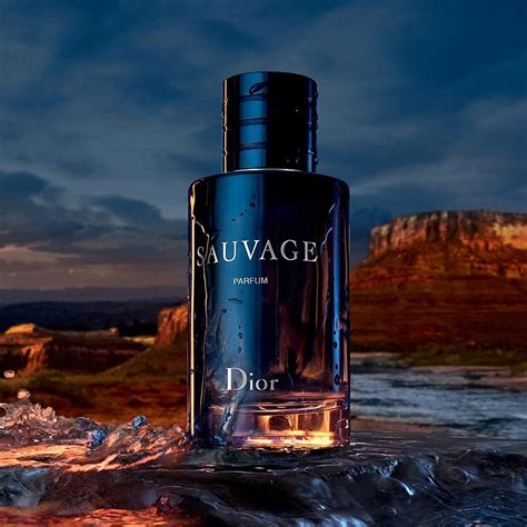 dior sauvage male|dior sauvage cheapest price.